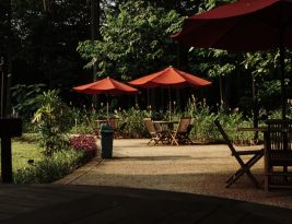 Outdoor Corporate Party